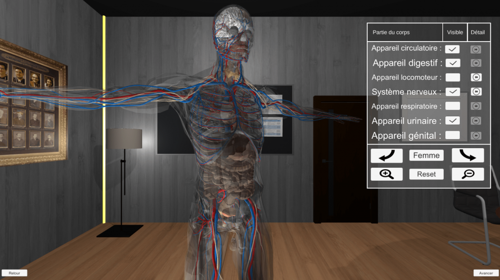 3D human model to visualize the organs of the human body