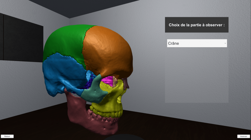Multi-directional and multi-angular 3D body model preview system