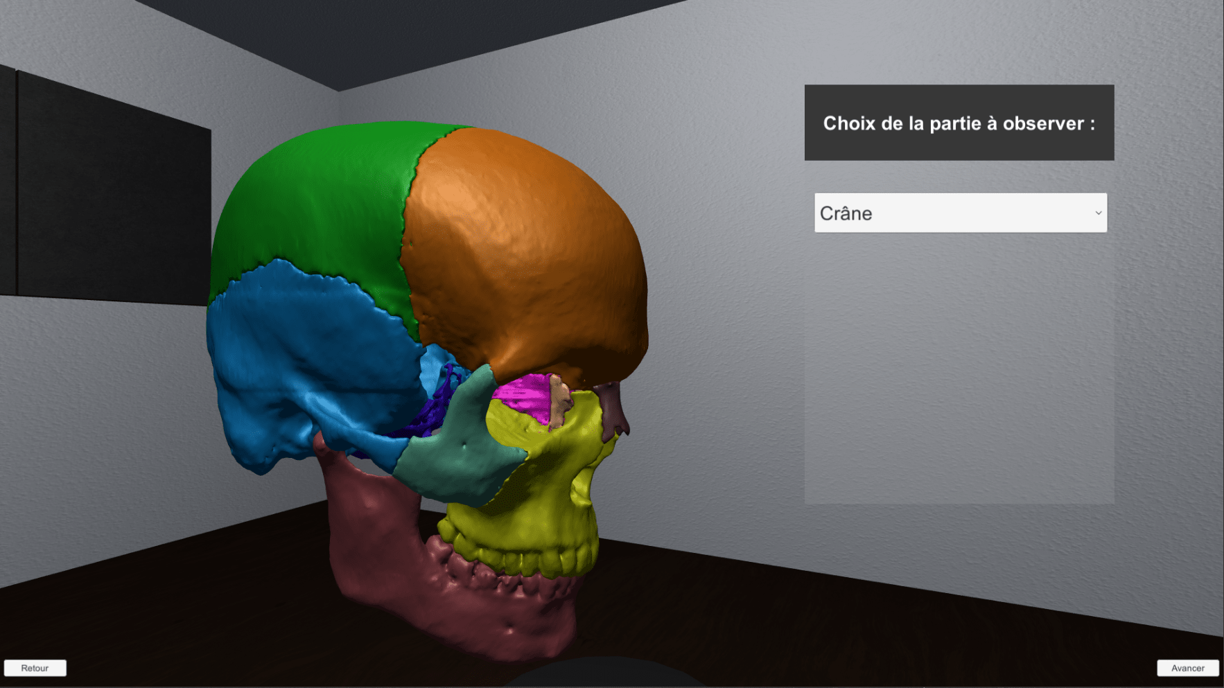 Multi-directional and multi-angular 3D body model preview system