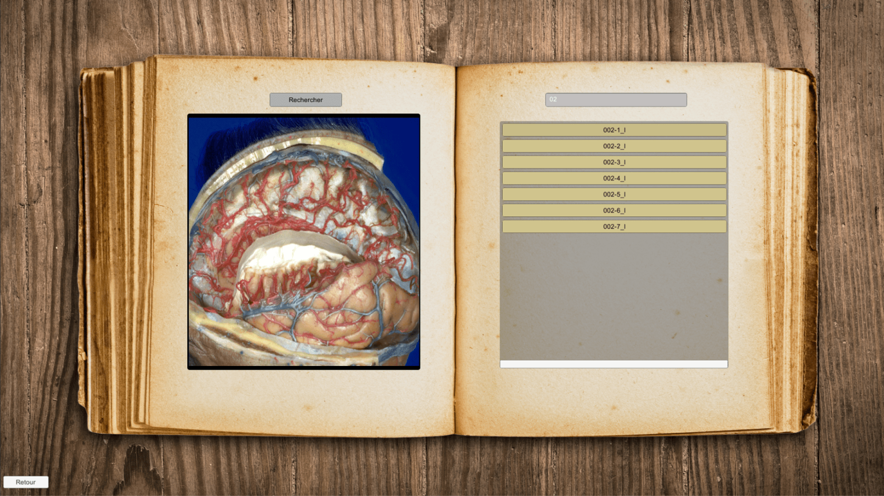 Space for viewing high quality anatomical sections